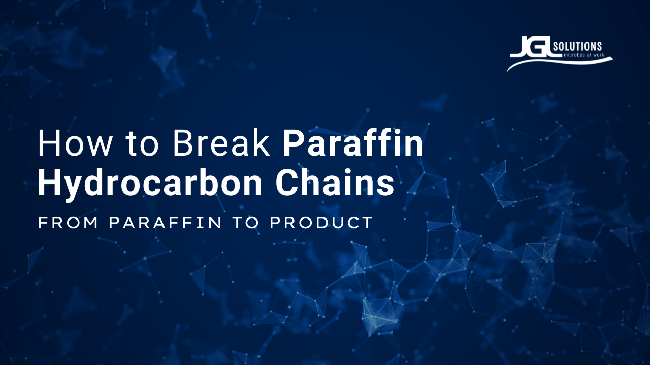 How to Break Paraffin Hydrocarbon Chains